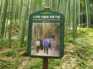① 담양 죽녹원,메타쉐콰이어길 & 순창 강천산 맨발 트레킹 힐링 여행